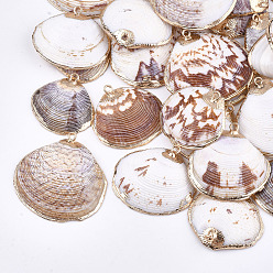 Seashell Color Electroplate Sea Shell Pendants, with Iron Findings, Light Gold, Seashell Color, 20~35x22~35x4~7mm, Hole: 2mm