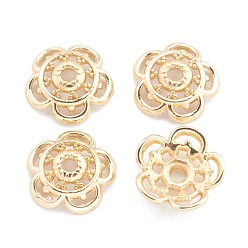 Echt 14 k vergoldet Legierung Perlenkappen, cadmiumfrei und bleifrei, langlebig überzogen, 5-Blütenblatt Blüte, echt 14 k vergoldet, 10.5x3 mm, Bohrung: 1.6 mm