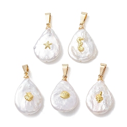 Mixed Shapes Подвески из натурального барочного жемчуга кеши, Подвески в форме капли с металлическими пластинками в виде морских животных, золотые, белые, разнообразные, 20~21x14~15x5~6 мм, отверстие : 5x2 мм