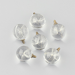 Античная Бронза Круглые литые стеклянные подвески, без кадмия и без свинца, с высушенным одуванчика внутри, для одуванчиков, античная бронза, 25~26x20 мм, отверстие : 1.5 мм