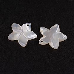 White Shell Natural White Shell Mother of Pearl Shell Pendants, Flower, 18.5x19x2mm, Hole: 1.5mm