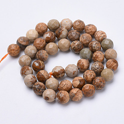 Picture Jasper Natural Picture Jasper Beads Strands, Faceted, Round, 6mm, Hole: 1mm, about 62pcs/strand, 15.3 inch