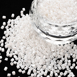 Льняное Полотно Стеклярус, непрозрачные цвета блеск, белье, 2.5~3x2 мм, отверстие : 0.9 мм, Около 15000 шт / фунт