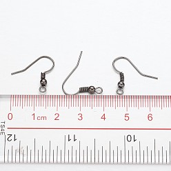 Gunmetal Iron Earring Hooks, Ear Wire, with Horizontal Loop, Cadmium Free & Nickel Free & Lead Free, Gunmetal, 17~19x0.8mm, Hole: 2mm, 22 Gauge, Pin: 0.6mm