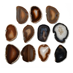 Верблюжий Кабошоны из натурального друзового агата, окрашенная и подогревом, самородки, верблюжие, 48~105x39~68x4~7 мм, Около 25 шт / 1000 г