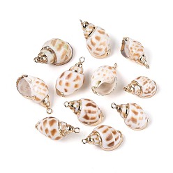 Морская Ракушка Подвески из натуральных морских ракушек, покрытые гальваническим способом, подвески в форме ракушек, с медными петлями, золотые, цвет морской раковины, 22.5~28x13~17x11~14 мм, отверстие : 1.8~2 мм