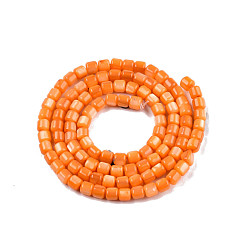 Dark Orange Natural Freshwater Shell Beads Strands, Dyed, Column, Dark Orange, 3.5x3.5mm, Hole: 0.8mm, about 110~113pcs/strand, 14.69 inch~15.08 inch(37.3~38.3cm)