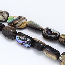 Colorful Natural Paua Shell Beads Strands, Nuggets, Colorful, 10~16x6~9x4~6mm, Hole: 1mm, about 15.7 inch
