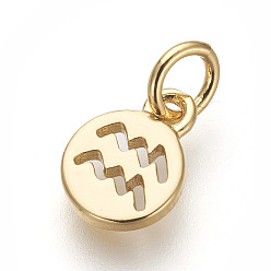 Водолей Латунь прелести, без свинца и без кадмия, плоский круглый с созвездиями, золотые, Водолей, 9.5x7x1 мм, отверстие : 3 мм