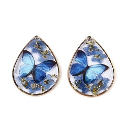 Васильковый Подвески из прозрачной эпоксидной смолы, Подвеска в форме капли с засушенным цветком и бабочкой., с золотой фольгой и латунью, васильковый, 35x25.5x3~4 мм, отверстие : 1~1.2 мм