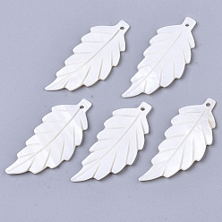 White Natural Freshwater Shell Pendants, Carved, Leaf, White, 38x15.5x2mm, Hole: 1.5mm