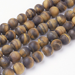 Тигровый глаз Природные желтые нити из бисера тигровый глаз, круглые, класса AB +, матовые, 12~12.5 мм, отверстие : 2 мм, около 31~32 шт / нитка, 14.9 дюйм (38 см)
