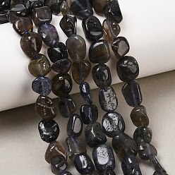 Айолит Нити из натурального иолита / кордиерита / дихроита, самородки, 8~15x8~10x5~8 мм, отверстие : 1 мм, около 41~44 шт / нитка, 15.04~15.55'' (38.2~39.5 см)