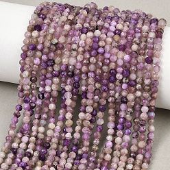 Чароит Естественно чароитовыми бисер пряди, круглые, граненые, 3~3.5 мм, отверстие : 0.5 мм, около 134 шт / нитка, 15.55'' (39.5 см)