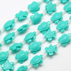 Бирюза Синтетические коралловые бусины ниток, окрашенные, черепаха, бирюзовые, 15x12x7 мм, отверстие : 2 мм, около 22 шт / нитка, 11.5 дюйм