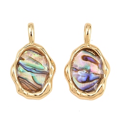 Oval Подвески неправильной формы из натуральной латунной раковины пауа, реальный 18 k позолоченный, овальные амулеты, 21x15x5 мм, отверстие : 3x5 мм