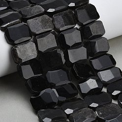 Silver Sheen Obsidian Нити бусин из натурального серебряного обсидиана, прямоугольные, граненые, 15x20x6 мм, отверстие : 1.5 мм, около 25 шт / нитка, 14.96 дюйм (38 см)