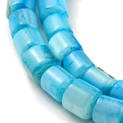 Deep Sky Blue Natural Freshwater Shell Beads Strands, Dyed, Column, Deep Sky Blue, 4~5.5x5mm, Hole: 0.6mm, about 74~75pcs/strand, 14.76~14.96 inch(37.5~38cm)