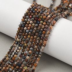 Петерсит Натуральные нити бусинок из питерсутки, круглые, граненые, 3 мм, отверстие : 0.6 мм, около 124 шт / нитка, 14.96"~15.35" (38~39 см)