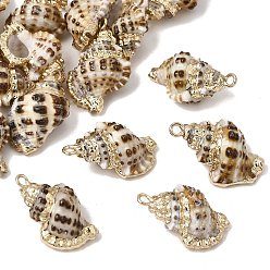 Coffee Brass & Natural Shell Pendants, Conch Shape Charms, with Golden Plated Edge, Coffee, 22~23x14~15x10~11mm, Hole: 1.8mm