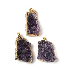 Аметист Кулоны из сырого грубого натурального аметиста, подвески-самородки с фурнитурой из нержавеющей стали золотистого оттенка, 31~37x19~25x14~17 мм, отверстие : 4x3 мм