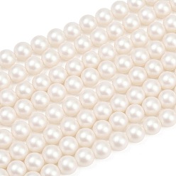 (404) Непрозрачное AB Кислое яблоко Матовые бусы пряди стекла жемчуг, круглые, цветочный белый, 8 мм, отверстие : 0.7 мм, около 51~52 шт / нитка, 15.94~16.02'' (40.5~40.7 см)