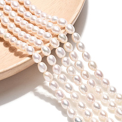 Кремово-белый Нити из натурального культивированного пресноводного жемчуга, рис, оценка 4ab, кремово-белые, 5~6.5x4.5~5 мм, отверстие : 0.5 мм, около 69~70 шт / нитка, 15.55~15.75 дюйм (39.5~40 см)