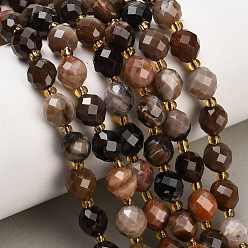 Petrified Wood Natural Petrified Wood Beads Strands, Round, Faceted, with Seed Beads, 8~9x7~8mm, Hole: 1mm, about 18~20pcs/strand, 7.48''(19cm)~7.87''(20cm)
