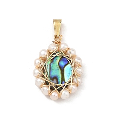 Paua Shell Natural Paua Shell Pendants, Wire Wrapped Potato Natural Cultured Freshwater Pearl Beads, Oval Charm, 25x17x4mm, Hole: 6x2.5mm