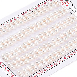 Кремово-белый Сорт 3бусины из натурального культивированного пресноводного жемчуга, половине просверлил, полукруглые бусины, кремово-белые, 4.5~5.5x3.5~4 мм, отверстие : 1 мм