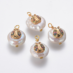 Разноцветный Подвески из натурального пресноводного жемчуга, с латунными микро проложить кубических выводы циркония, плоский круг с божьей коровкой, золотые, красочный, 18~20x11~14x6~8 мм, отверстие : 1.8 мм