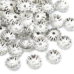 Real Platinum Plated SHEGRACE Brass Beads Caps, Cadmium Free & Nickel Free & Lead Free, Flower, Real Platinum Plated, 6.5x6.5x1.5mm, Hole: 1mm