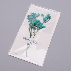 Dunkeltürkis Papierkarten, mit getrockneten Blumen, für die Brautdusche, Hochzeit, Partys & mehr, dunkeltürkis, 160x90x4 mm