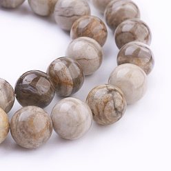 Silver Leaf Jasper Natural Silver Leaf Jasper Beads Strands, Round, 10mm, Hole: 1mm, about 40pcs/strand, 15.7 inch(40cm)