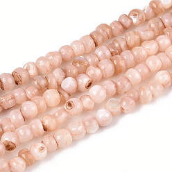 Персиковый Слойка Натуральные пресноводные окрашенные бусы из ракушек, рондель, розовые, 2~3.5x1~3 мм, отверстие : 0.8 мм, около 162~169 шт / нитка, 14.96~15.35'' (38~39 см)