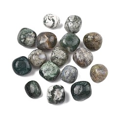 Мосс Агат Природные моховой агат бисером, обваленные камни, нет отверстий / незавершенного, самородки, 20~56x18~30.5x8~28 мм