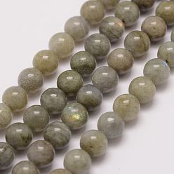 Labradorite Natural Labradorite Bead Strands, Round, 6mm, Hole: 1mm, about 62pcs/strand, 15.5 inch