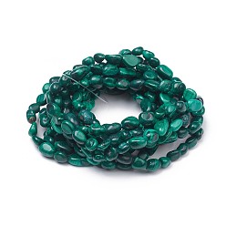 Malachite Natural Malachite Stretch Beaded Bracelets, Tumbled Stone, Nuggets, 1-7/8 inch~2-1/8 inch(4.8~5.5cm), Beads: 6~15x6~11x3~11mm