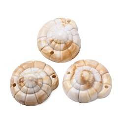 Белый Навахо Непрозрачные акриловые звенья соединительные подвески, формы раковины, навахо белый, 41x32x16 мм, отверстие : 3.5 мм, Около 252 шт / 500 г