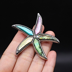Colorful Natural Shell Brooches for Backpack Clothes, Starfish, Colorful, 53x55mm