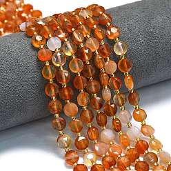 Red Agate Натуральный красный агат бисер нитей, граненый шестиугольный разрез, плоско-круглые, с бисером, 8x5 мм, отверстие : 0.8 мм, около 36 шт / нитка, 15.16''~15.24'' (38.5~38.7 см)
