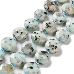 Sesame Jasper Natural Sesame Jasper/Kiwi Jasper Beads Strands, with Seed Beads, Faceted Hexagonal Cut, Flat Round, 12~12.5x5~6mm, Hole: 1.2~1.4mm, about 27~29pcs/strand, 15.55~15.75 inck(39.5~40cm)