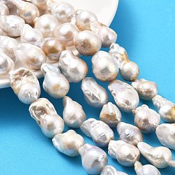 (404) Непрозрачное AB Кислое яблоко Нити натуральных бусин с ядровым жемчугом, барочная жемчужина кеши жемчужина, самородки, класс 3а+, цветочный белый, 17~25x11~15x10~13 мм, отверстие : 0.6 мм, около 18~21 шт / нитка, 15.94''~16.14'' (40.5~41 см)