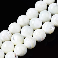 Морская Ракушка Натуральная оболочка из трохидных оболочек, круглые, отбеливатель, цвет морской раковины, 10 мм, отверстие : 1 мм, около 41~42 шт / нитка, 15.75 дюйм (40 см)