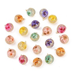 Mixed Color Brass Resin Pendants, Round Charms, with Dried Flower, Mixed Color, 21.5x16.5x15.5mm, Hole: 2.5mm