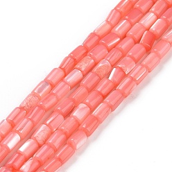 Light Coral Natural Trochus Shell Beads Strands, Dyed, Column, Light Coral, 5x3mm, Hole: 0.8mm, about 82~83pcs/strand, 15.63''(39.7cm)