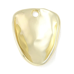 Золотой Подвески из сплава , стойки покрытие, золотые, 29x22x7 мм, отверстие : 2.7 мм