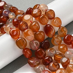 Red Agate Натуральные бразильские бусины из красного агата, окрашенная и подогревом, упавший камень, самородки, 12x10 мм, около 37 шт / нитка, 15.75 дюйм (40 см)