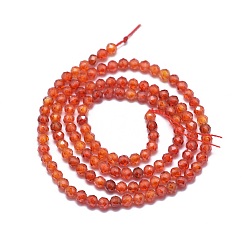 Tomato Cubic Zirconia Beads Strands, Faceted, Round, Tomato, 3mm, Hole: 0.5mm, about 132pcs/strand, 15 inch(38cm)