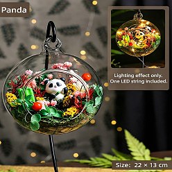 Panda DIY Micro Landscape Making Kits, with Glass Globe, Iron Display Stand, Dried Flower, Tweezers and Resin Finding, Panda, 29x22x25mm